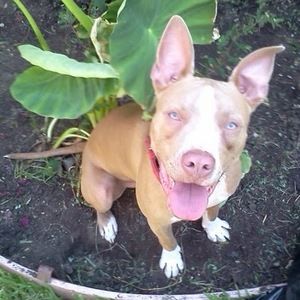 Meet your Posher, Stacy